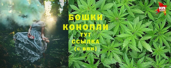 спайс Баксан