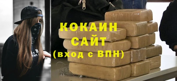 молекула духа Белоозёрский
