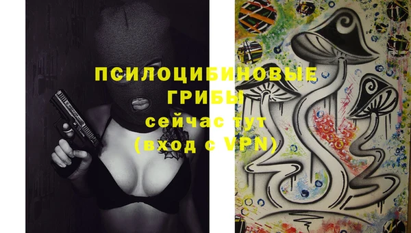 винт Балахна